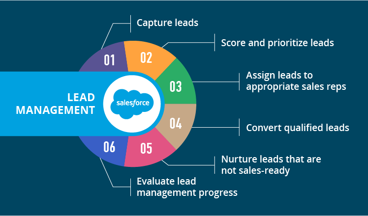 Lead Management Process